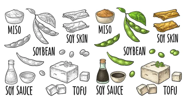 Set Alimenti Soia Miso Pelle Tofu Soia Salsa Bottiglia Ciotola — Vettoriale Stock