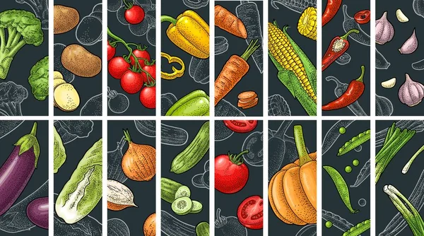 Nastavit Zeleninu Vektorová Barva Monochromatické Vinobraní Izolované Tmavém Pozadí Ručně — Stockový vektor