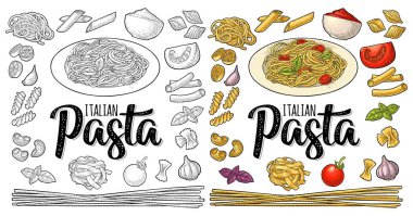 Farklı tipte makarna ve spagetti. Beyaz üzerine izole edilmiş vektör vintage oyma. İTALYA PASTA el yazısı harfleri.