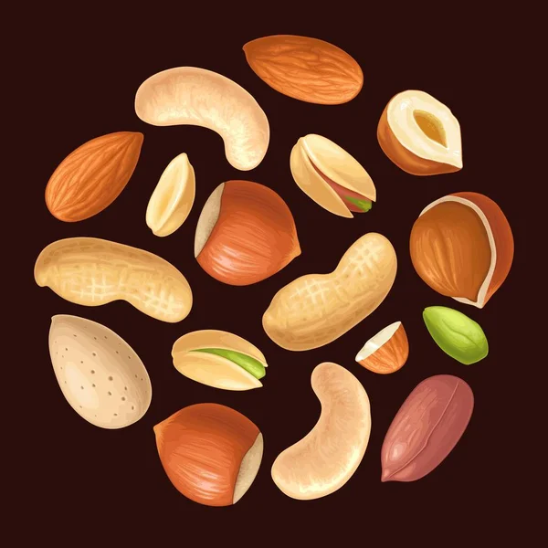 Mengatur Biji Kacang Utuh Dan Setengah Hazelnut Kacang Almond Jambu - Stok Vektor