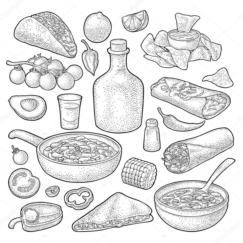 Mexican traditional food set with Guacamole, Quesadilla, Enchilada, Burrito, Taco, Nachos, tequila, chili con carne with ingredient. Vector vintage black engraving illustration isolated on white background.