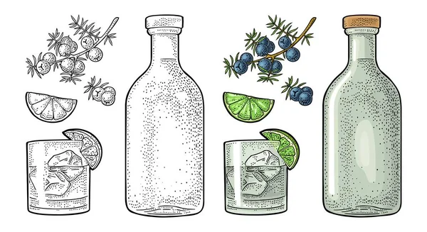 Gin szklany, butelka i gałąź jałowca. Vintage wektor kolor grawerowania — Wektor stockowy