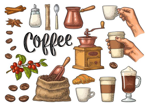 Set coffee. Sugar, beans, spoon, glass latte. Vintage vector engraving