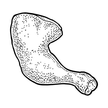 Çiğ tavuk budu. Vintage vektör siyah gravür çizimi