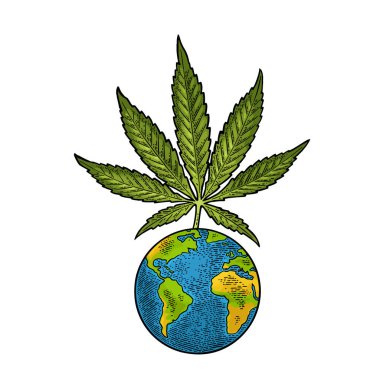 Marihuana yaprağı ve Dünya gezegeni. Klasik siyah vektör gravür çizimi