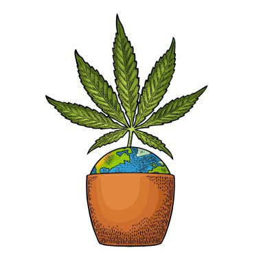 Esrar yapraklı marihuana bitkisi. Vintage oymacılığı