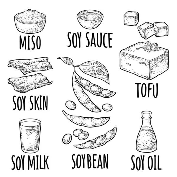 Soja voedsel set. Miso, tofu huid, soja, saus — Stockvector