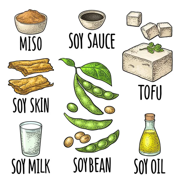 Soja-Lebensmittel-Set vorhanden. Miso, Tofuschalen, Sojabohnen, Soße — Stockvektor
