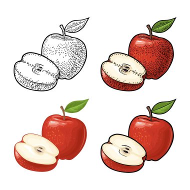 Elmalı ve yapraklı. Vintage renk oyması ve düz