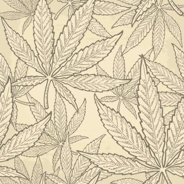 Marihuana yaprağıyla kusursuz desen. Klasik siyah vektör gravür çizimi