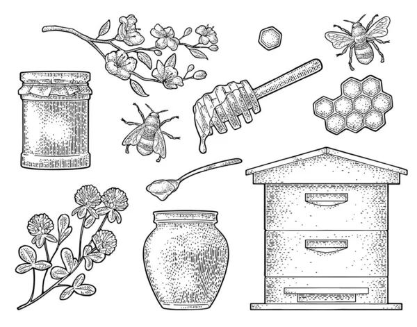 Honey set. Vector vintage black engraving isolated on white — Stock Vector