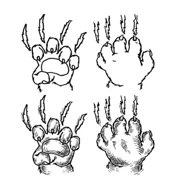 Kedi pençesi tırmalama izi. Vektör siyah vintage oymacılığı