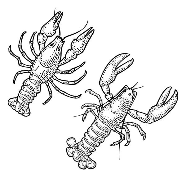 Lobster Terisolasi Pada Latar Belakang Putih Ilustrasi Ukiran Vektor Warna - Stok Vektor