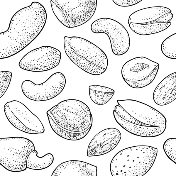 Bezešvé vzor celé a půl ořechové semínko. Vektorové černé gravírování — Stockový vektor
