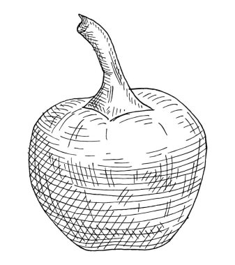 Tam biberli kiraz. Vintage kuluçkadan çıkan siyah vektör çizimi. Beyaz arka planda izole edilmiş. El çizimi tasarım