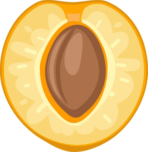 Tranche ronde d'abricot sur fond blanc. Illustration en couleur plate — Image vectorielle