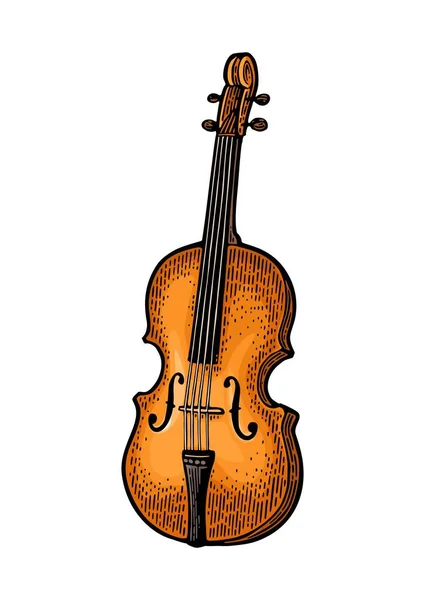 Violín. Vector vintage color grabado ilustración en blanco — Vector de stock