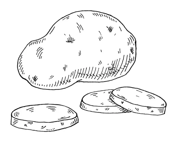 Aardappel Heel Snijd Vintage Vector Broedende Monochrome Zwarte Illustratie Geïsoleerd — Stockvector