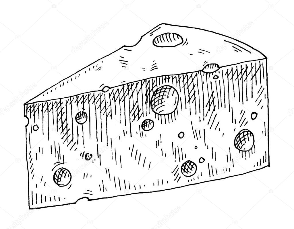 Pieces and head of cheese. Vintage vector hatching monochrome black illustration. Isolated on white background. Hand drawn design