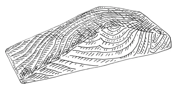 白底鲑鱼片 古埃及矢量雕刻单色黑色插图 手绘图案 图形墨水风格 — 图库矢量图片
