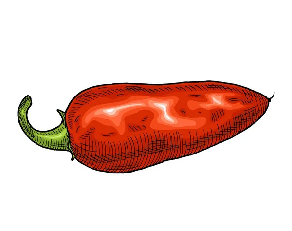 Jalapeño Entero Pimiento Rojo Vintage Eclosión Vector Color Ilustración Negro — Vector de stock