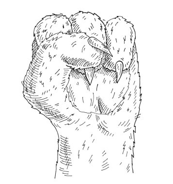 Yumruğunu sıkmış kedi pençesi. Beyaz arkaplanda izole edilmiş klasik monokrom taşıyıcı kuluçkaya yatma çizimi. Tişört, poster ve afiş için el çizimi tasarım ögesi