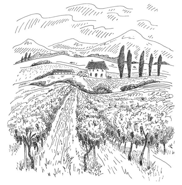 Paysage Rural Avec Villa Champs Vignes Collines Gravure Vintage Noire — Image vectorielle