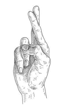 Beyaz arkaplanda izole edilmiş bir sembol gibi el gösterimi.
