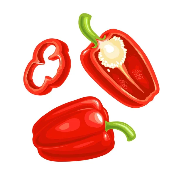 Édes paprika. Vektor évjárat gravírozott illusztráció — Stock Vector