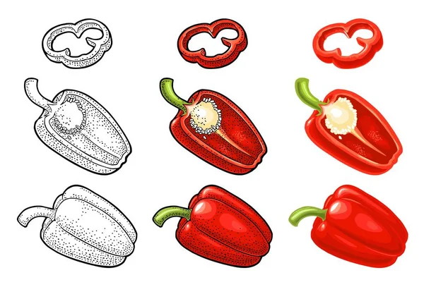 Jalapeno de pimenta integral e fatia. Ilustração da cor do vetor isolada no fundo branco. — Vetor de Stock