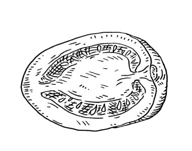 Domates eriği yarısı. Antika yumurtadan çıkan tek renkli siyah illüstrasyon. Beyaz arka planda izole edilmiş. El çizimi tasarım