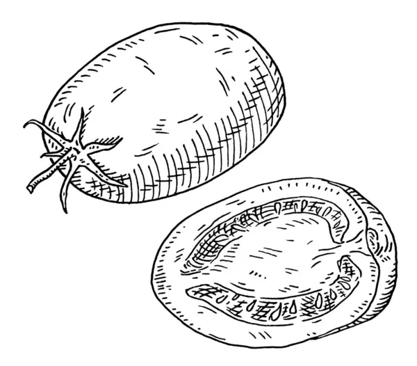 Tomat Plum Setengah Dan Keseluruhan Ilustrasi Hitam Monokrom Kuno Yang - Stok Vektor