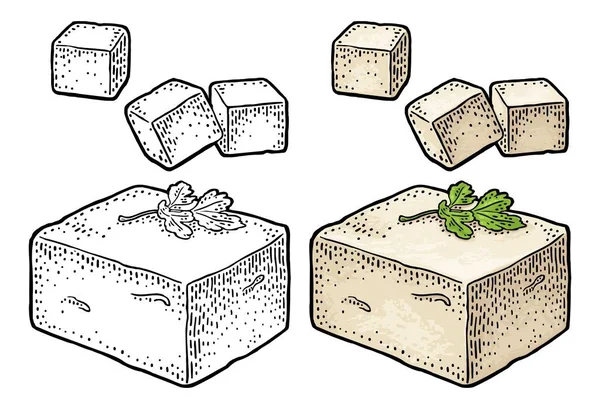 Du tofu. Illustration gravée vintage de couleur vectorielle isolée sur fond blanc. — Image vectorielle