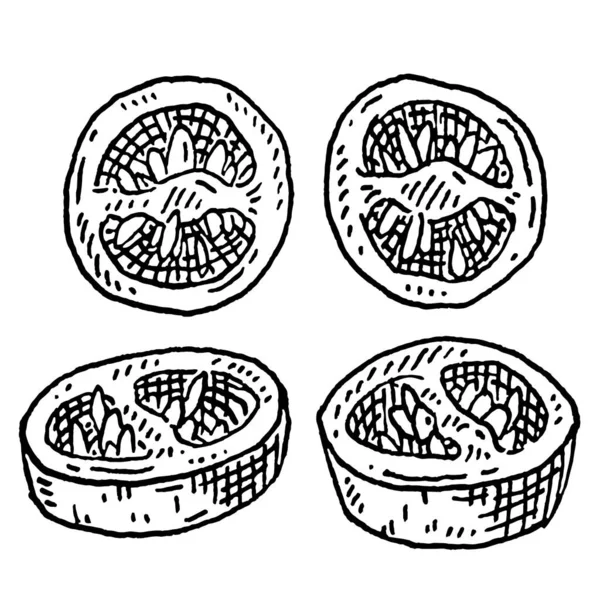 Chilischoten Scheiben Schneiden Vintage Schraffur Vektor Schwarz Monochrom Illustration Vereinzelt — Stockvektor