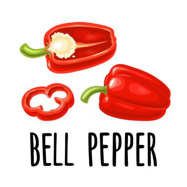 Tam, yarısı ve dilimlenmiş kırmızı dolma biber. Menü, poster ve etiket için vektör rengi gerçekçi illüstrasyon. Beyaz arka planda izole edilmiş. El çizimi tasarım ögesi