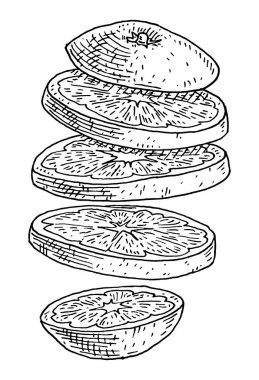 Uçan taze portakal parçaları. Klasik oyma siyah monokrom