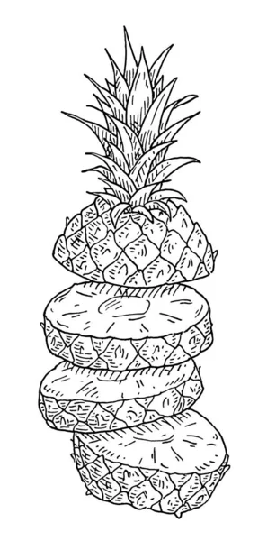 Des morceaux volants d'ananas frais. Gravure vintage noir monochrome illustration. — Image vectorielle