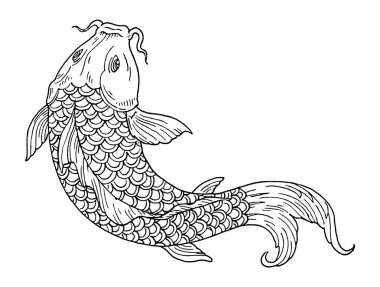 Koi sazan balığı. Klasik oymalı siyah monokrom çizimi. Beyazda izole edilmiş