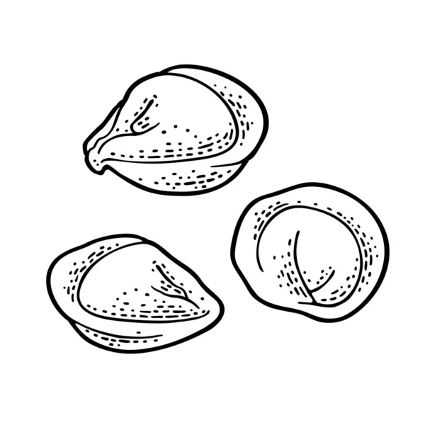 Dumpling Illustration Gravure Vectorielle Noire Vintage Isolé Sur Fond Blanc — Image vectorielle