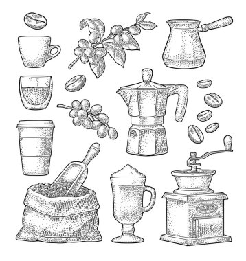 Kahve hazırla. Fasulye, odun kepçesi, çuval, moka tenceresi, Türk bakırı, el değirmeni, yaprak ve böğürtlenli dal, kremalı cam latte. Vintage renk vektörü oyması beyaz üzerine izole edildi