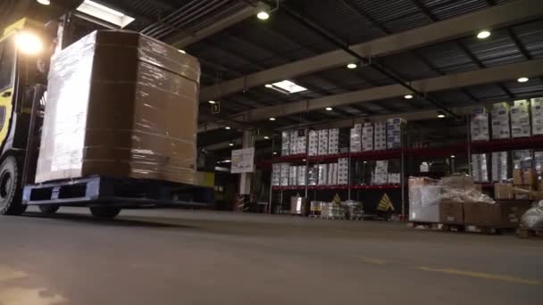 Cargo handling at the warehouse complex. — Stock Video