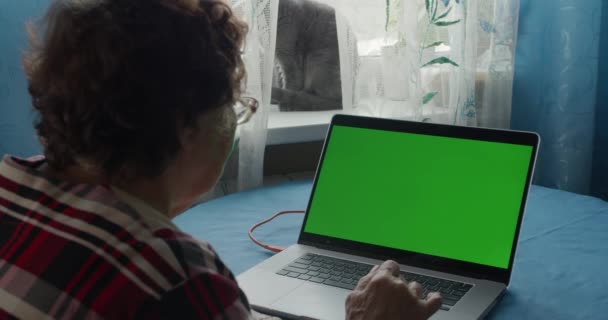 Großeltern sprechen mit Enkel über Laptop-Videoanruf Green Screen. Jib erschossen hinter älteren Paar sitzen auf Sofa mit Laptop-Computer auf dem Tisch und ein Gespräch auf grünem Bildschirm. — Stockvideo