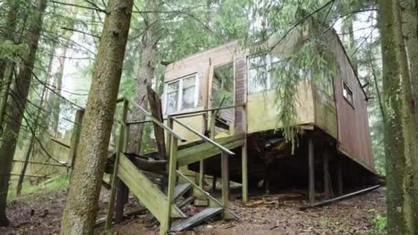 Покинутий будинок жахів посеред глибокого темного дикого лісу — стокове відео