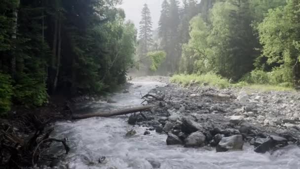 Природа гірська річка ліс сонце чарівний ранок — стокове відео