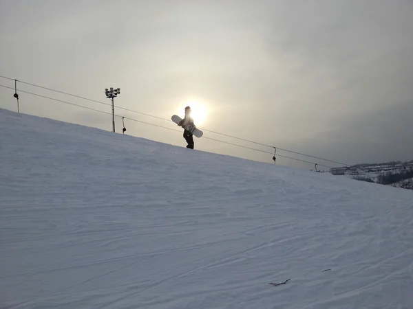 Snowboarder y bandada de aves en el fondo, luz del atardecer —  Fotos de Stock