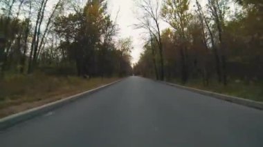 Park orman yolu ile sonbahar sahne