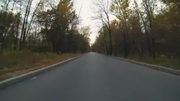 Höstens scen med vägen i skogen på Park — Stockvideo