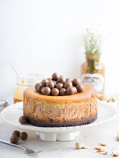 ピーナッツ バター チョコレート チーズケーキ — ストック写真
