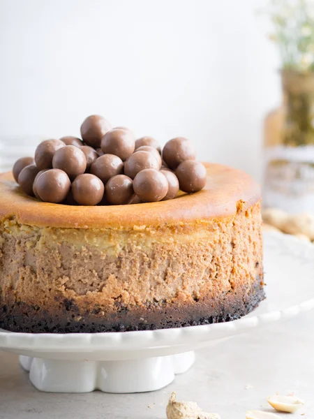 ピーナッツ バター チョコレート チーズケーキ — ストック写真