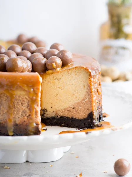 Pastel de queso de chocolate con mantequilla de cacahuete —  Fotos de Stock